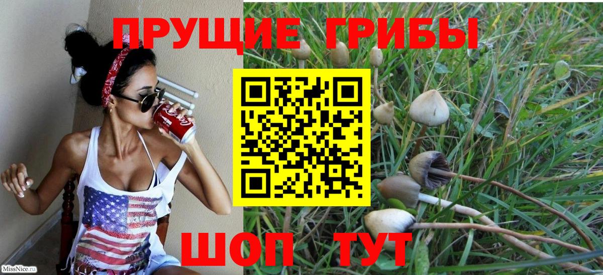 Галлюциногенные грибы Magic Shrooms Луга
