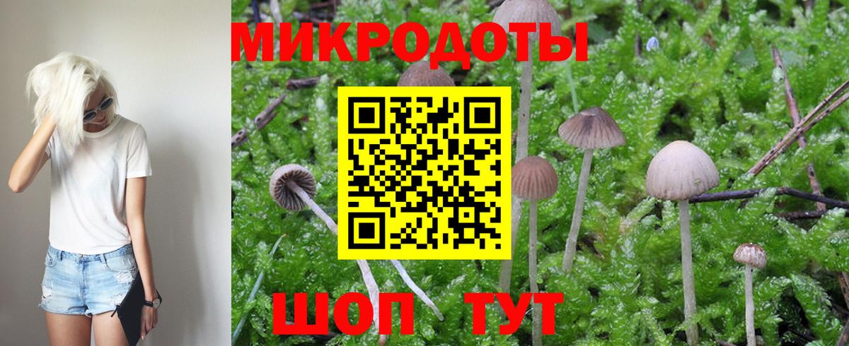 Псилоцибиновые грибы GOLDEN TEACHER  Вход с VPN  где купить наркотик  Луга 